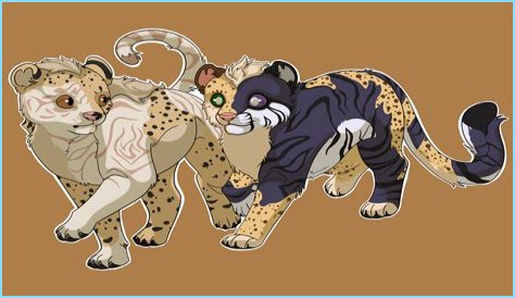 Uncovering Sibling Dynamics And On-Screen Magic